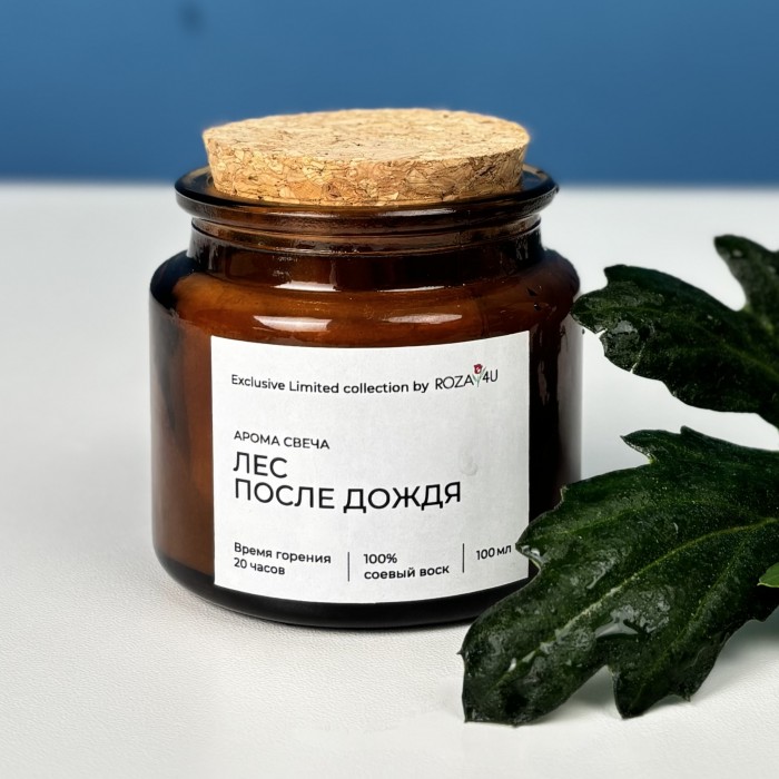 Аромасвеча Лес после дождя
