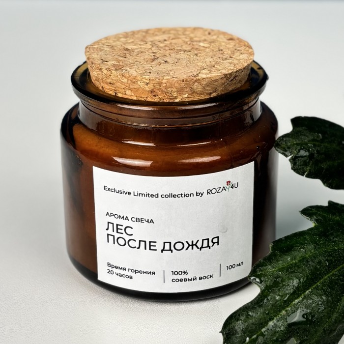Аромасвеча Лес после дождя
