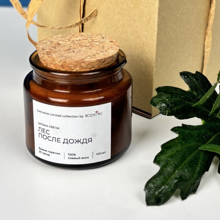 Аромасвеча Лес после дождя