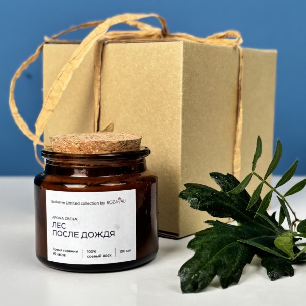 Аромасвеча Лес после дождя