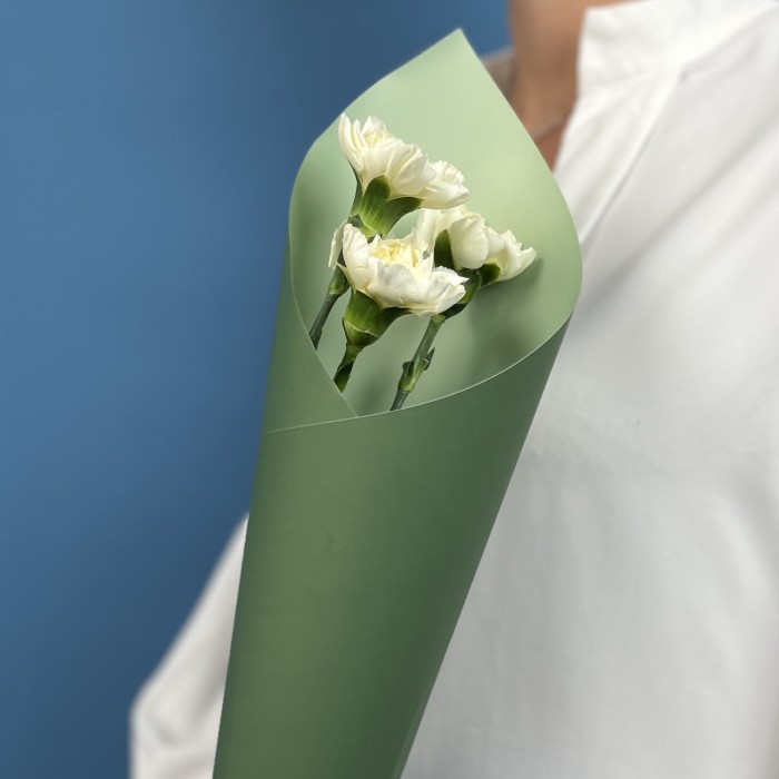 3 белые гвоздики