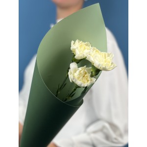 3 белые гвоздики