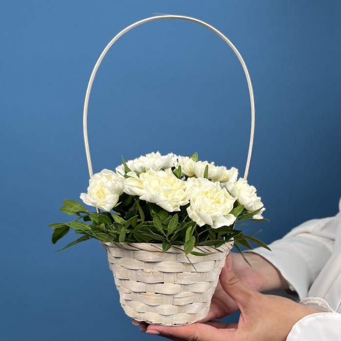 9 белых гвоздик в корзине