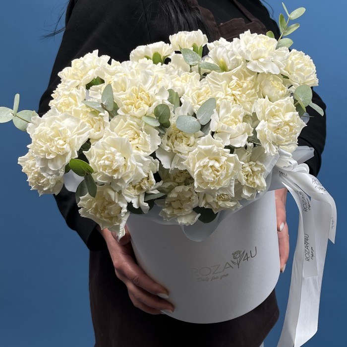 51 белая гвоздика в коробке