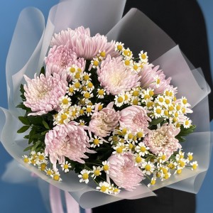 11 сиреневых хризантем с ромашкой