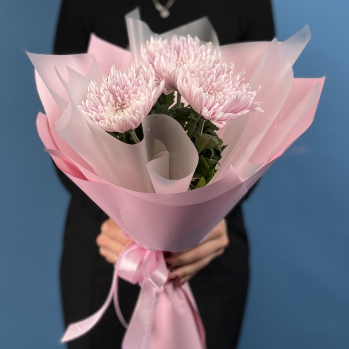 3 сиреневые хризантемы