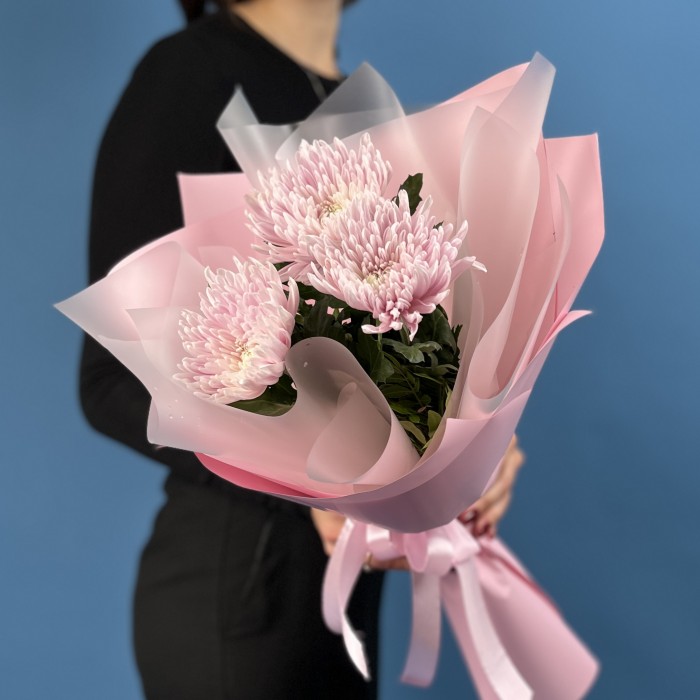 3 сиреневые хризантемы