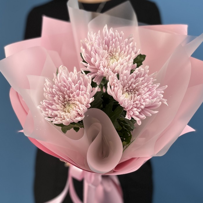 3 сиреневые хризантемы