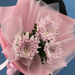 3 сиреневые хризантемы