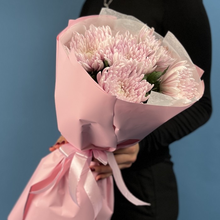 5 сиреневых хризантем