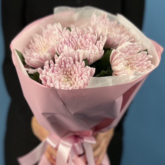 5 сиреневых хризантем