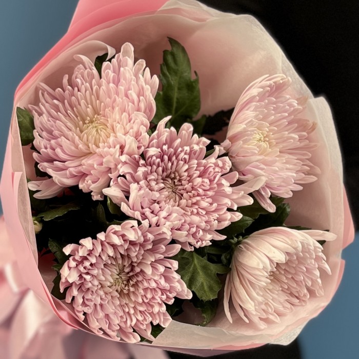 5 сиреневых хризантем