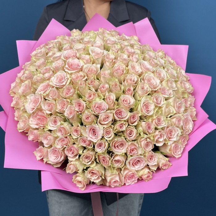 151 нежно-розовая Пинк Атена 40 см