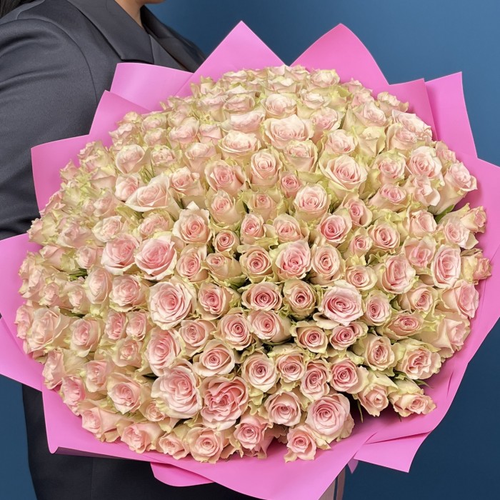 151 нежно-розовая Пинк Атена 40 см