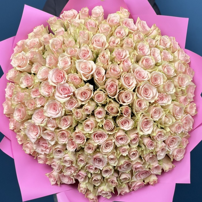 151 нежно-розовая Пинк Атена 40 см