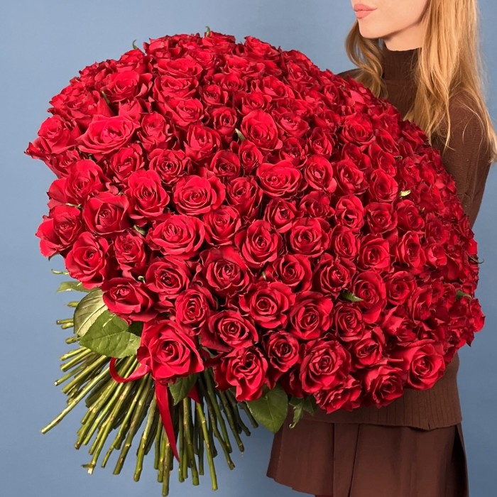 151 красная роза Эвер Ред 70 см