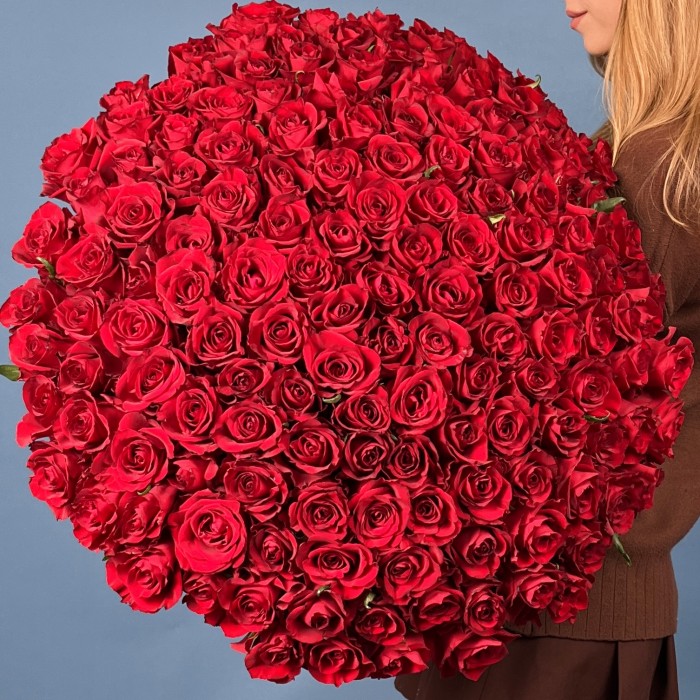 151 красная роза Эвер Ред 70 см