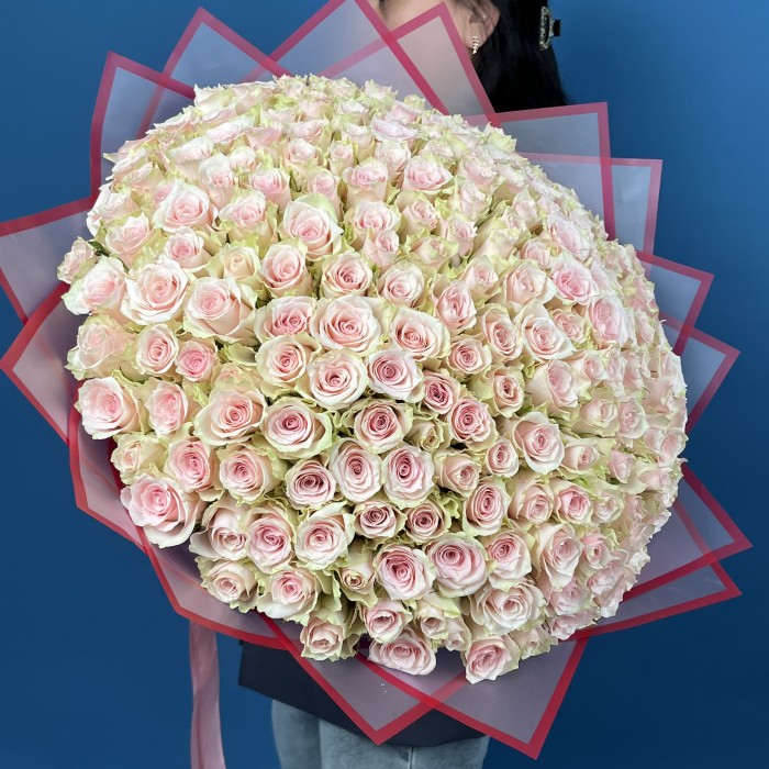 201 нежно-розовая Пинк Атена 40 см