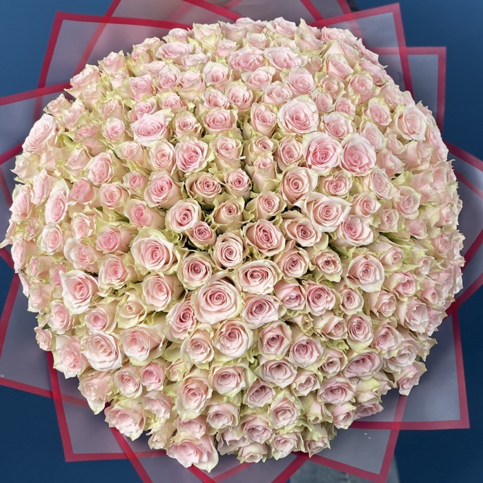 201 нежно-розовая Пинк Атена 40 см