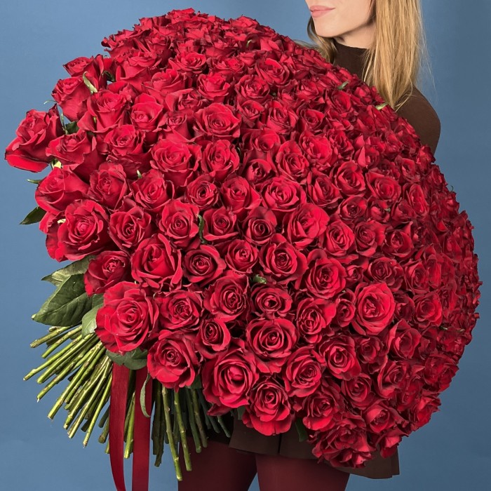 201 красная роза Эвер Ред 70 см