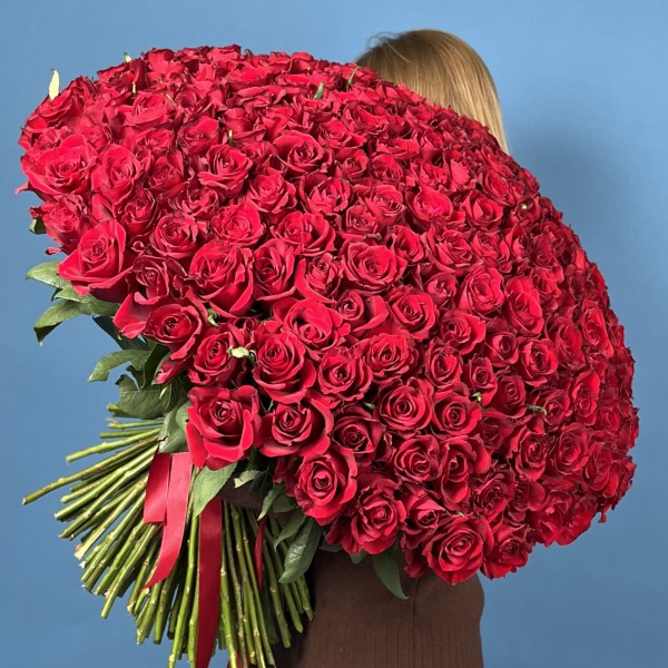 201 красная роза Эвер Ред 70 см