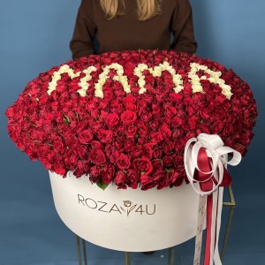 501 роза в большой коробке Мама