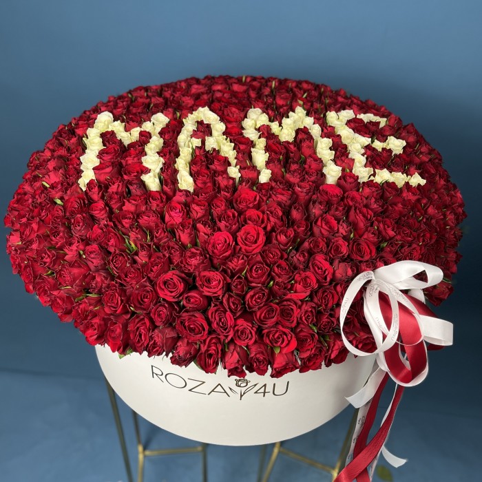 501 роза в большой коробке Маме