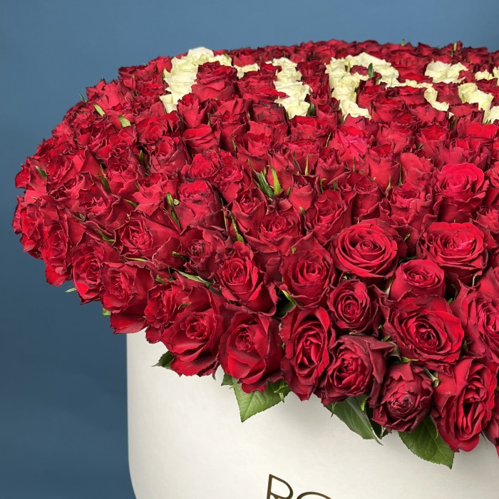 501 роза в большой коробке Маме