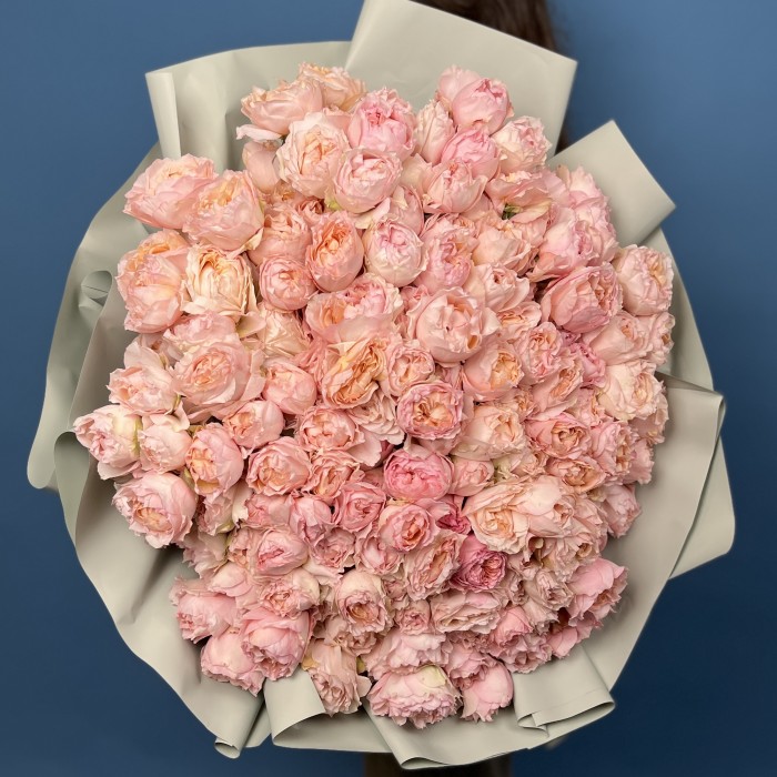 51 кустовая пионовидная роза Джульетта Хани 60 см