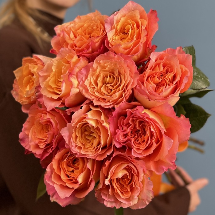 11 роз Фри спирит 50 см