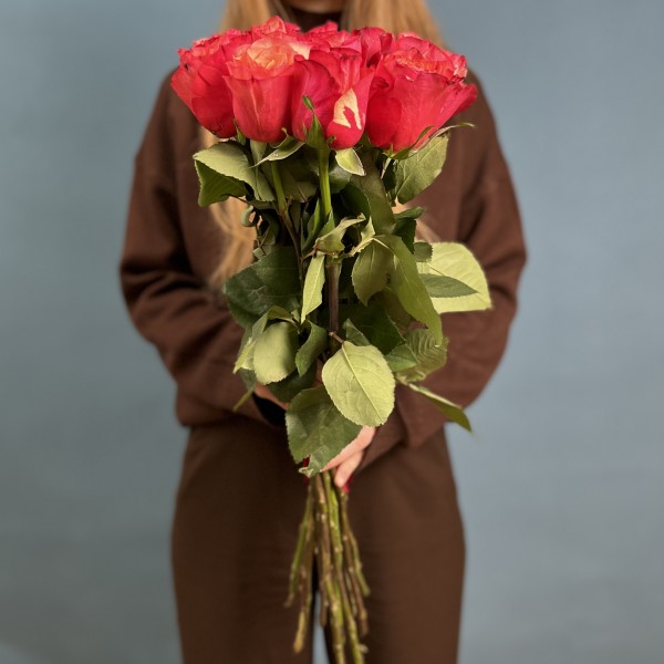 11 длинных красных роз Боргат 70 см