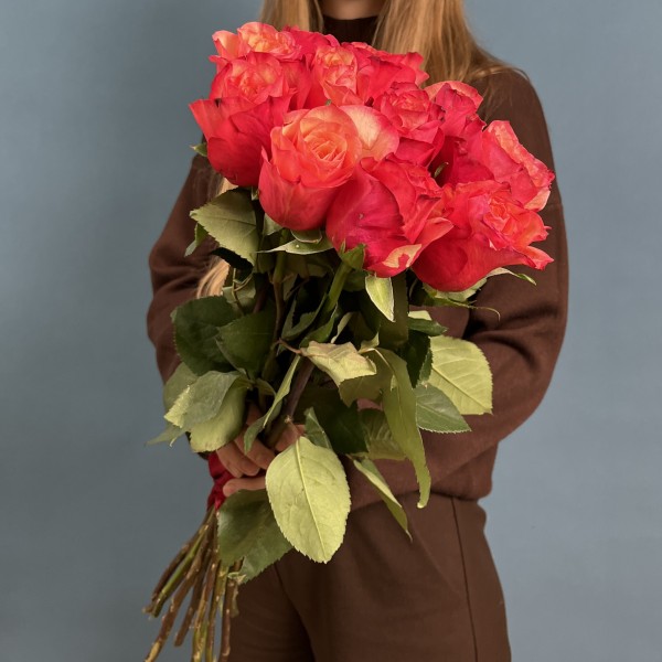 11 ярких роз Боргат 50 см