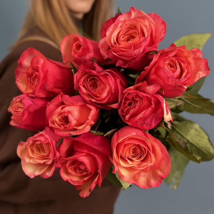 11 ярких роз Боргат 50 см