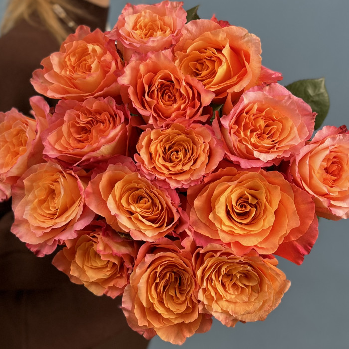 15 роз Фри Спирит 60 см