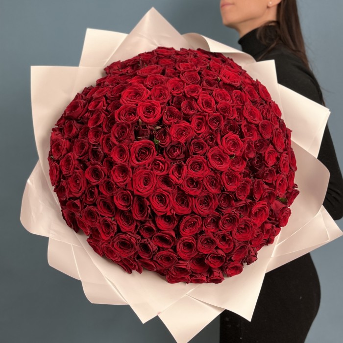 201 красная Роза ред Наоми 50 см