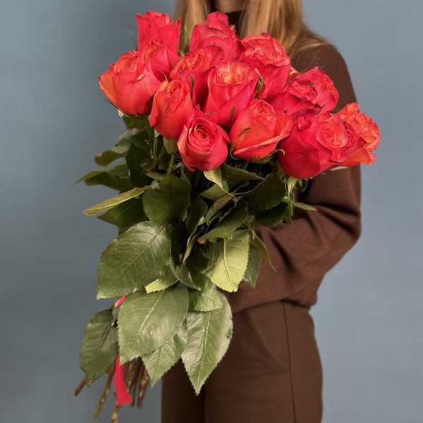 19 ярких роз Боргат 60 см