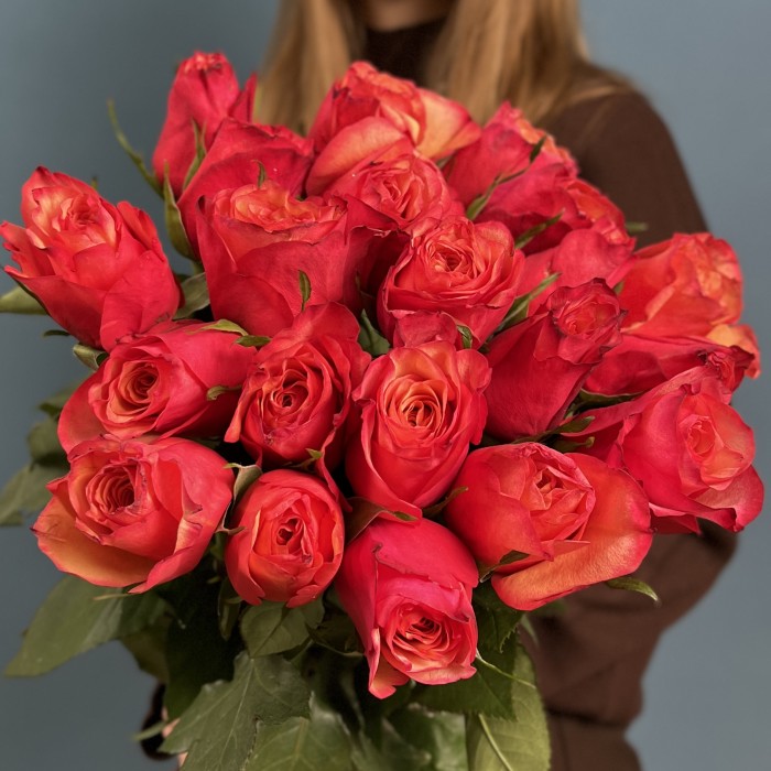 21 яркая роза Боргат 70 см