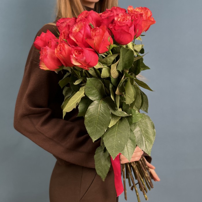 21 яркая роза Боргат 70 см