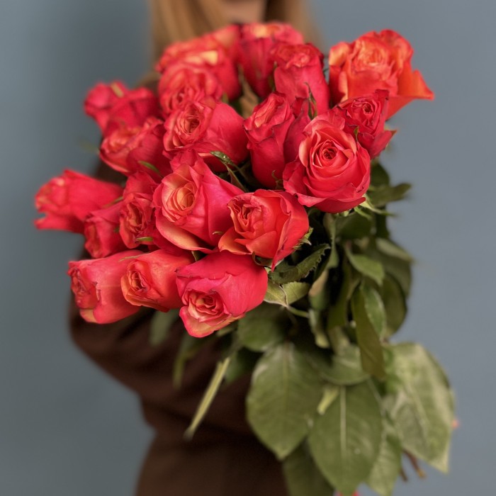 21 яркая роза Боргат 70 см