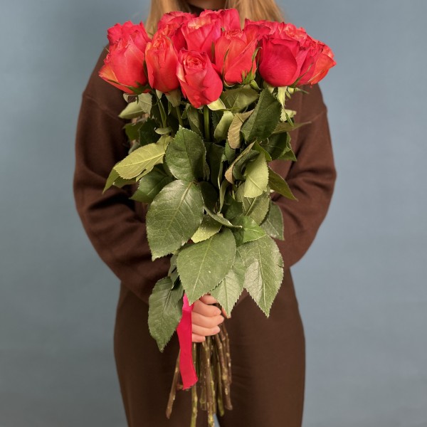 21 яркая роза Боргат 70 см