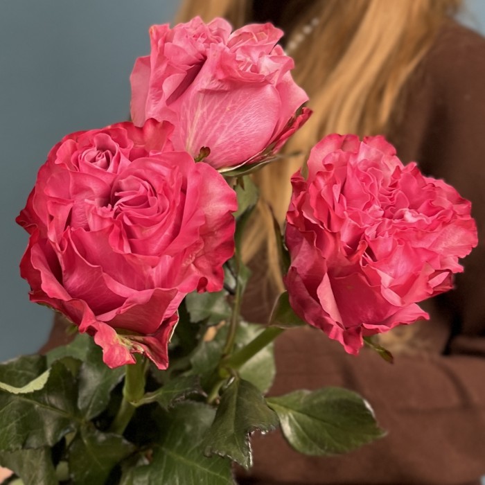 3 пионовидные розы Кантри блюз 60 см