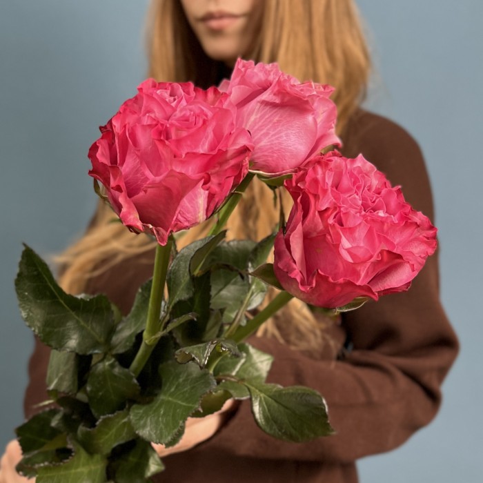 3 пионовидные розы Кантри блюз 60 см