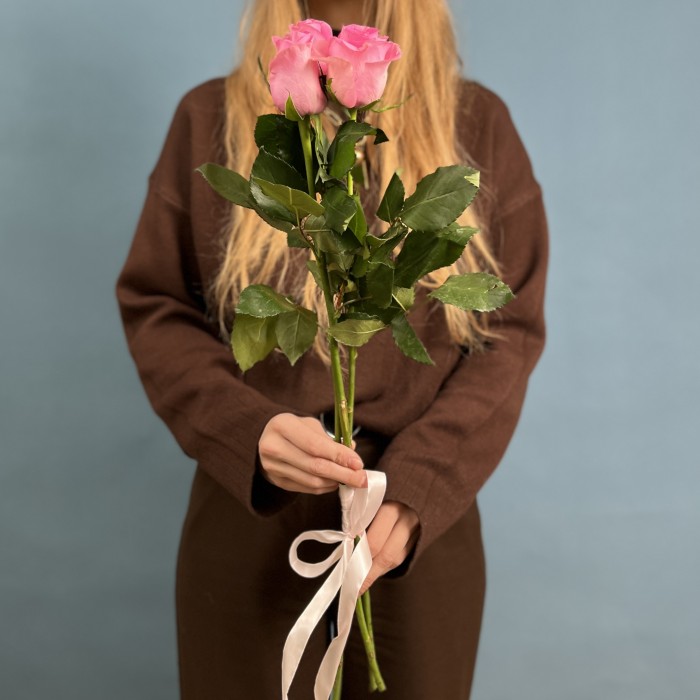 3 розовые розы Ревиваль 60 см