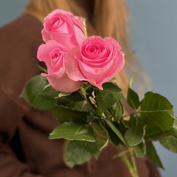 3 розовые розы Ревиваль 60 см