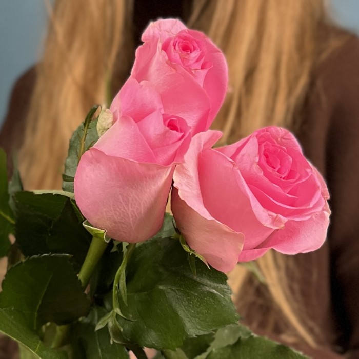 3 розовые розы Ревиваль 60 см