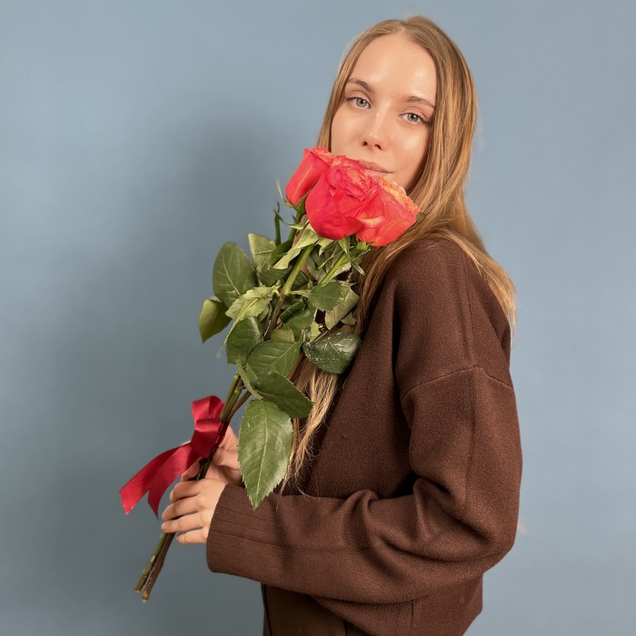 3 ярких розы Боргат 60см