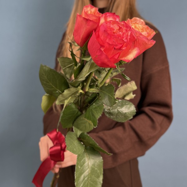 3 ярких розы Боргат 60см