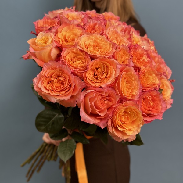 31 роза Фри Спирит 50 см