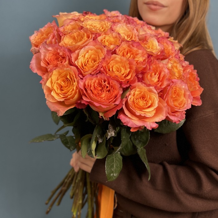 31 роза Фри Спирит 50 см