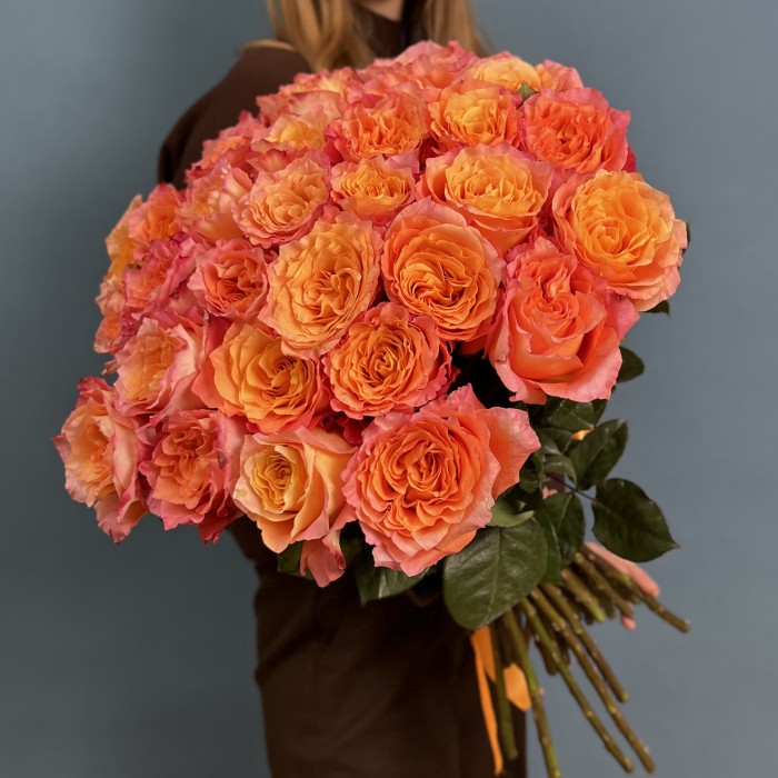 31 оранжево-розовая роза Фри Спирит 60 см